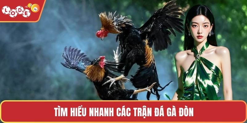 Tìm hiểu nhanh các trận đá gà đòn